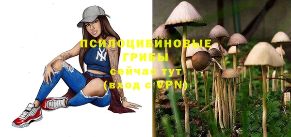 PSILOCYBIN Арсеньев