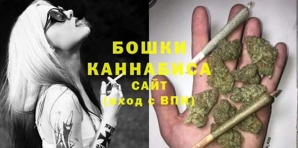 PSILOCYBIN Арсеньев